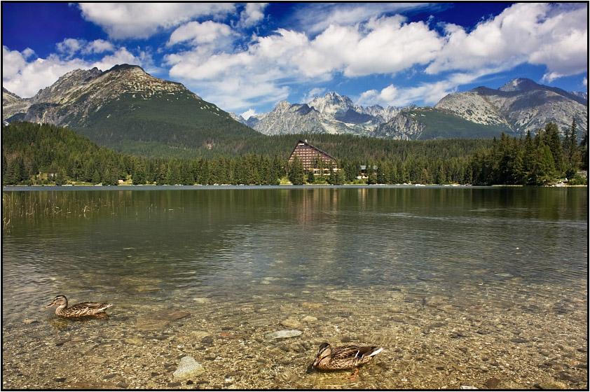 pleso