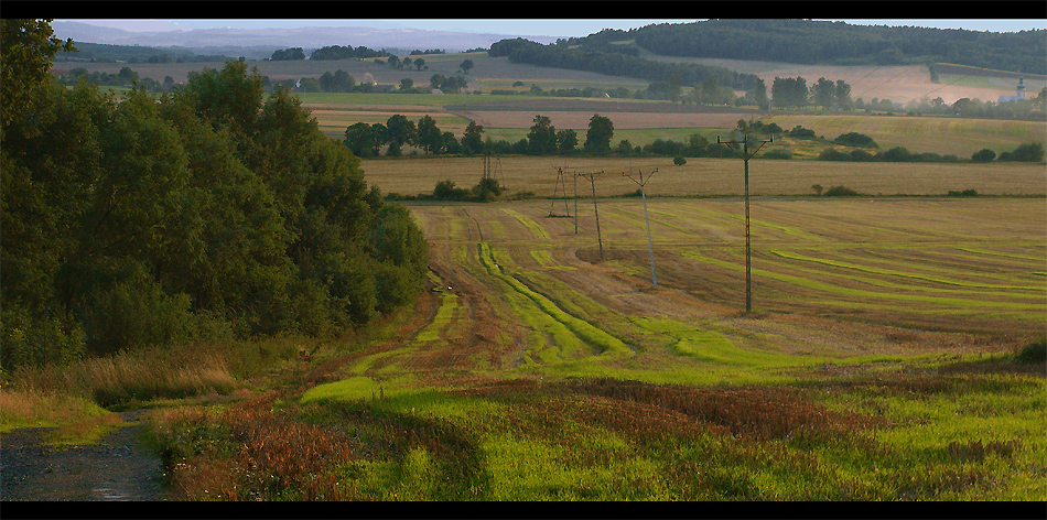 Słupy