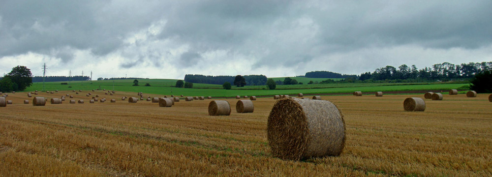 Idzie jesień