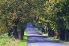 Warmia - droga Braniewo-Pieniężno