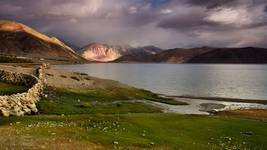 Pangong