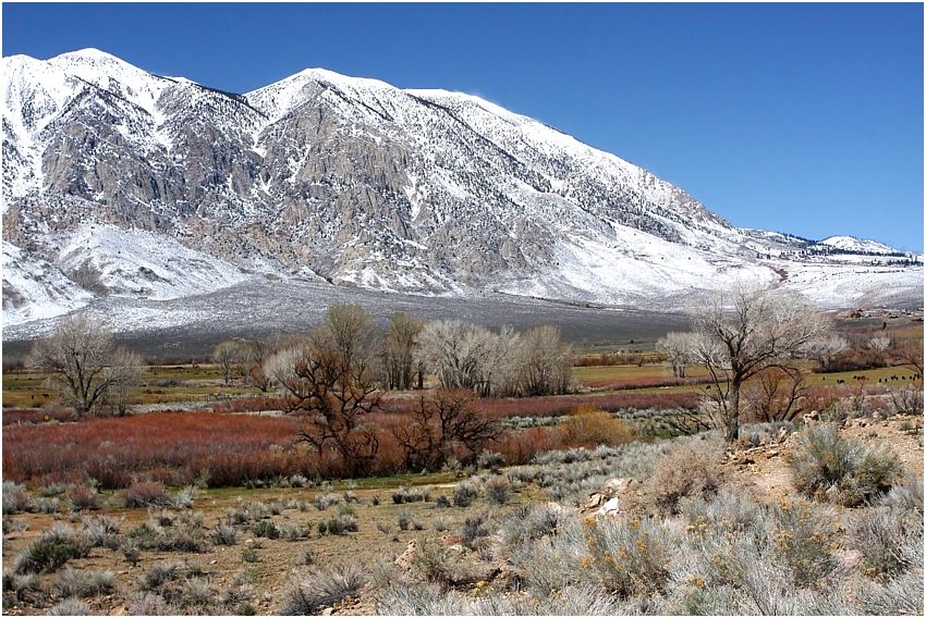 Sierra Nevada 1