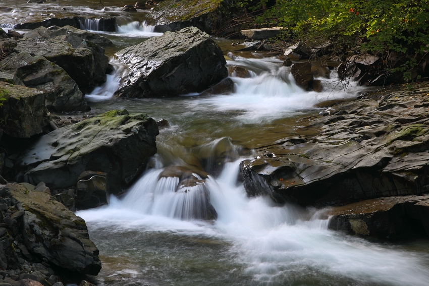 Kamienica (gorczańska)