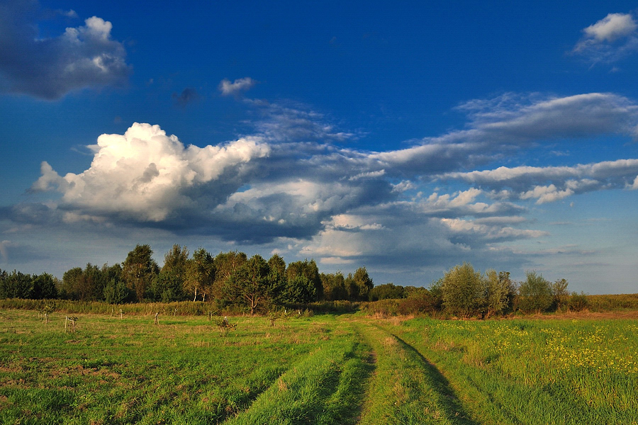 Pocerowane niebo .