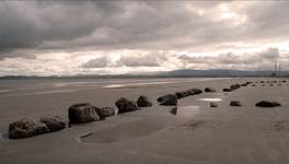 north bull island - irlandia