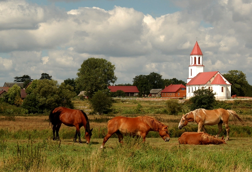 Podlasia czar ...