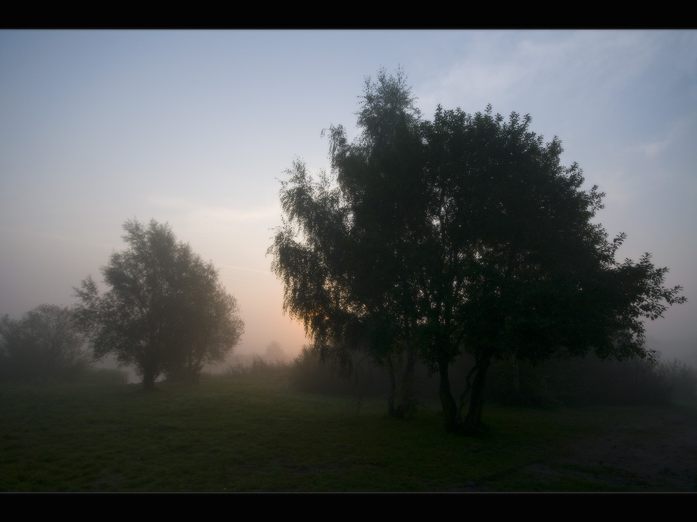 Rumieniec poranka za mgły woalem