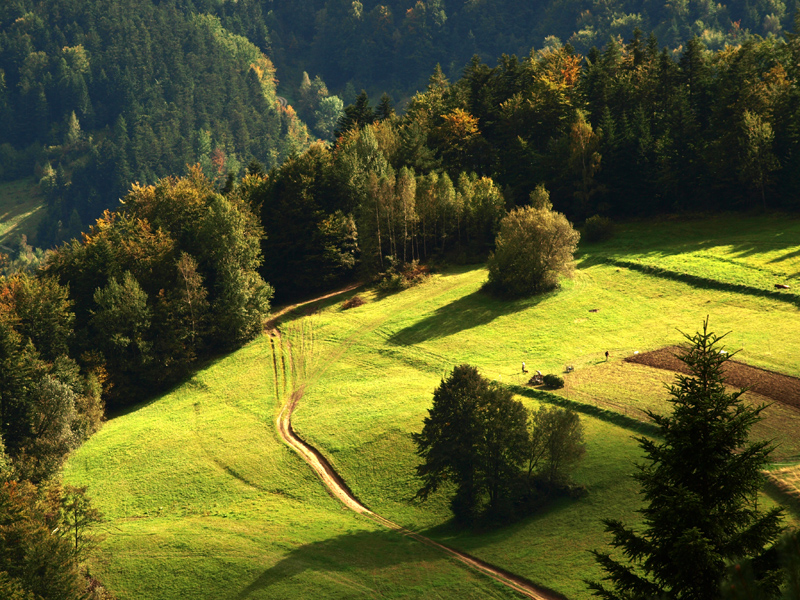 Beskid Sądecki