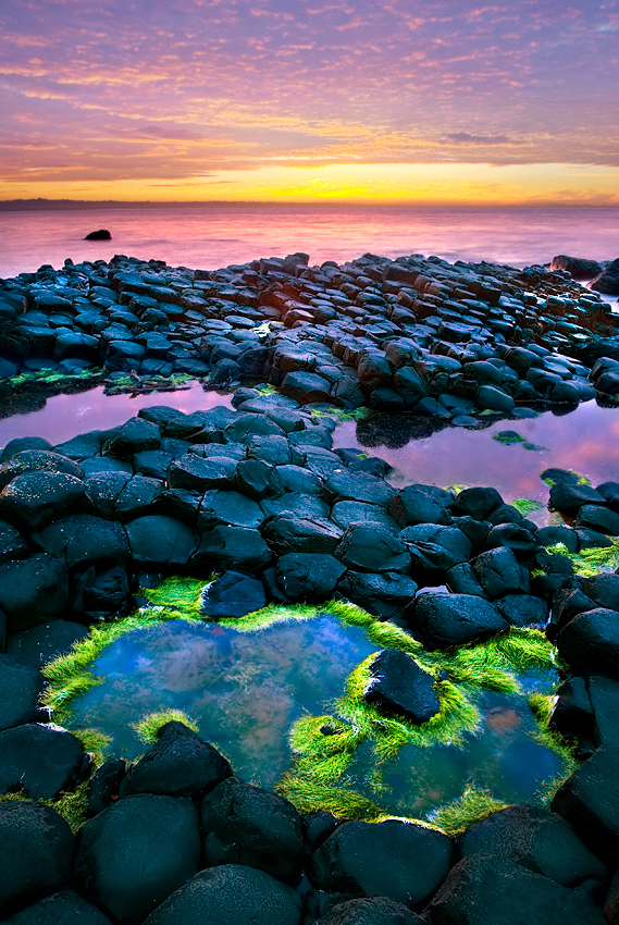 Giant Causeway