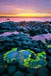 Giant Causeway