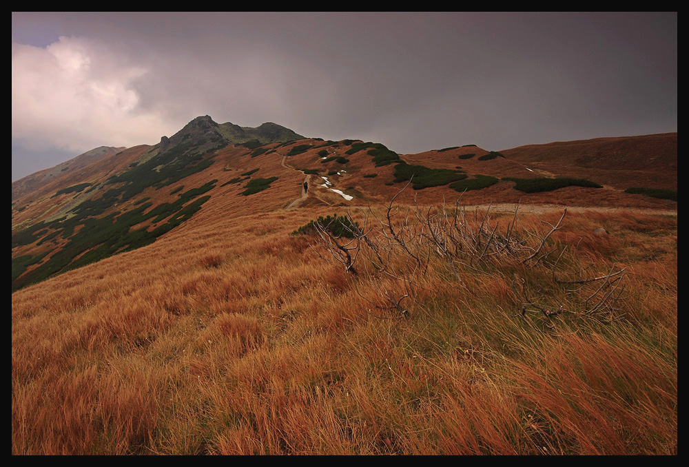 Tatry Zachodnie