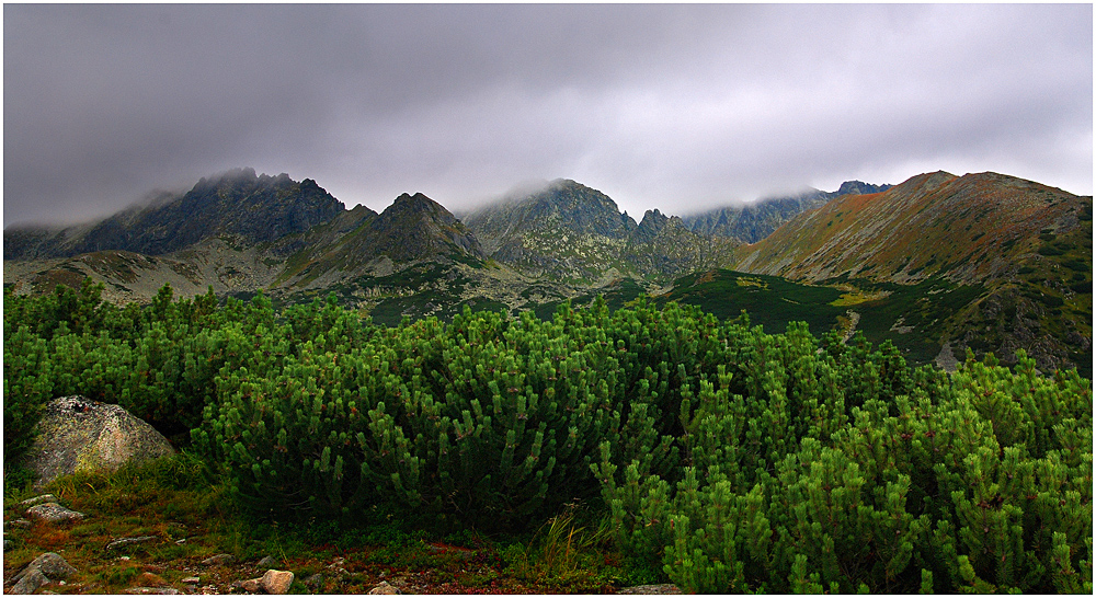 Tatry