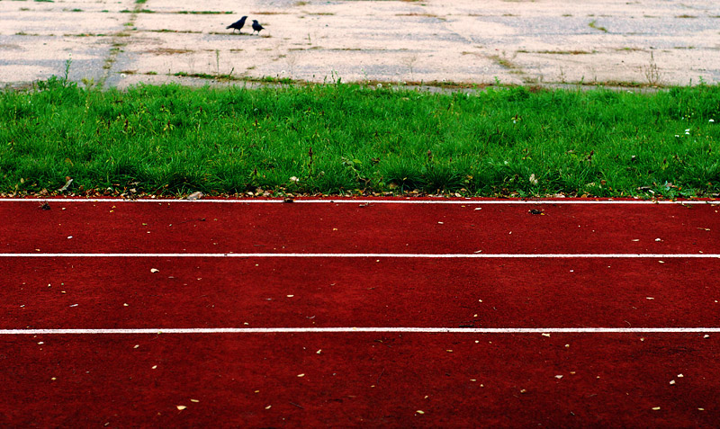 pogawędka na stadionie