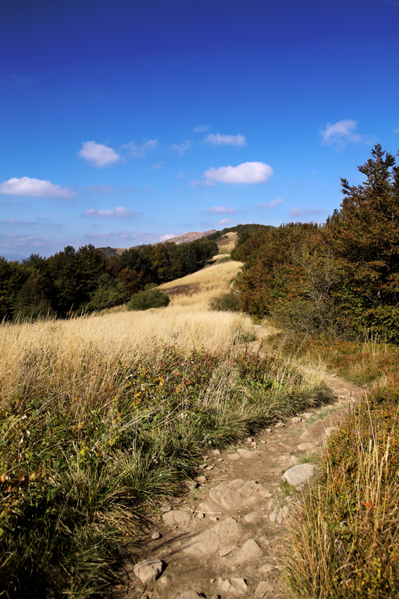 bieszczady