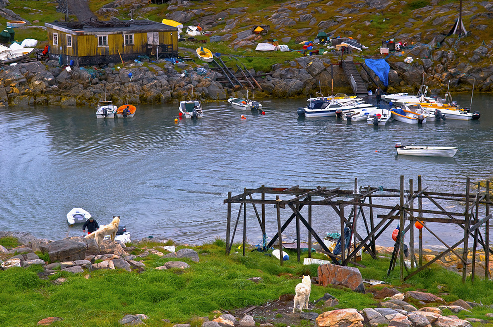 Quequertarsuaq-Disco Island (Grenlandia)