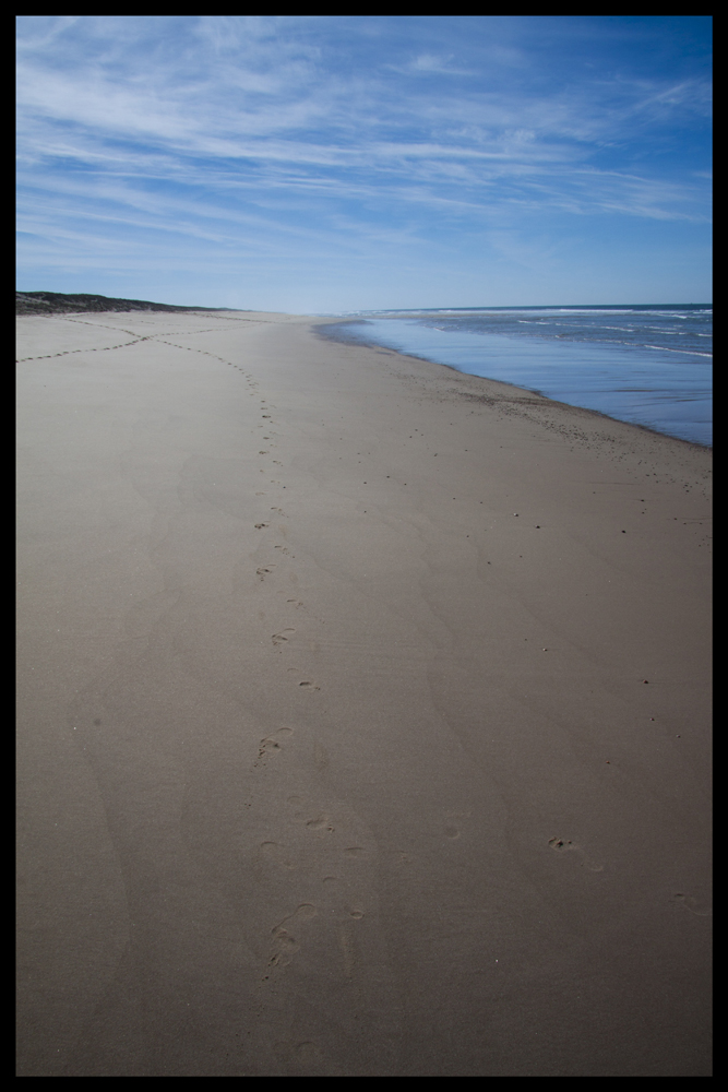 lonely footprints