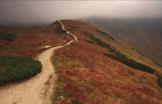 Tatry