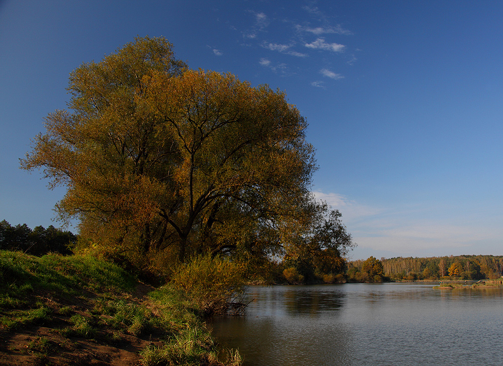 Dolina Wisły