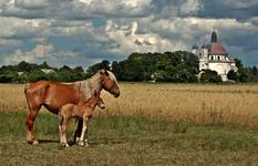 Na Podlasiu ...