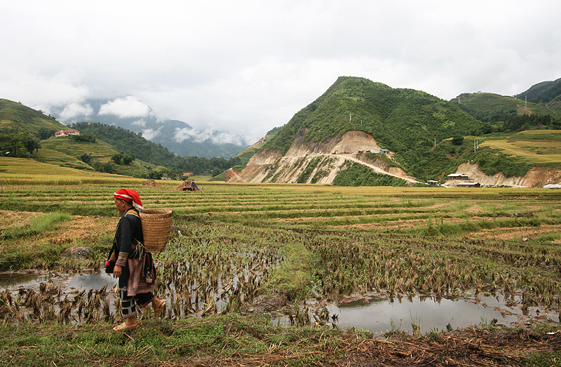 Hmong