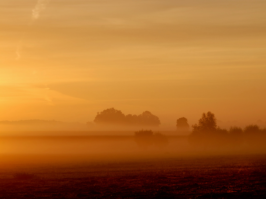 poranek na podlasiu