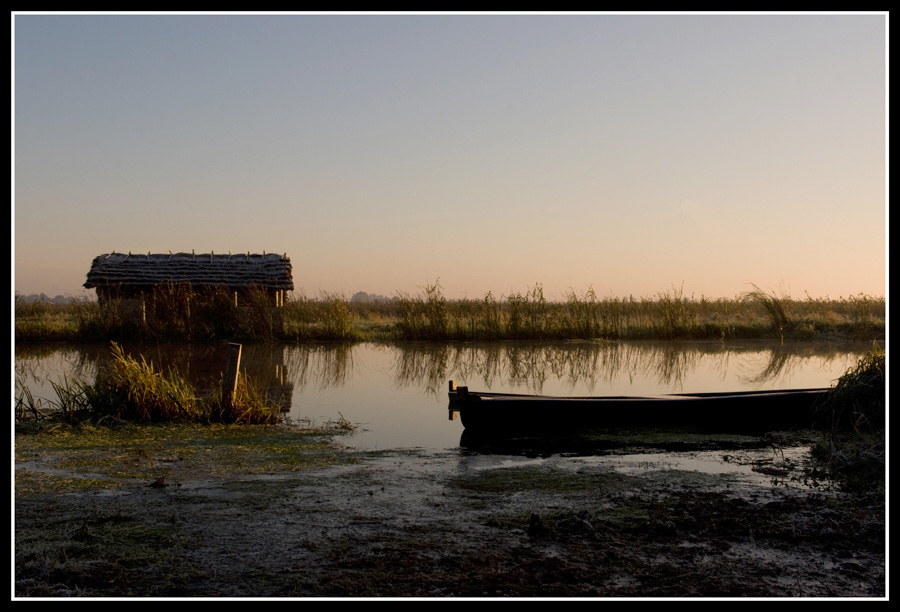 narew