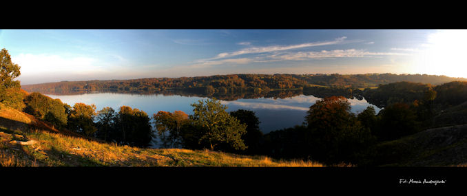 Hald lake Danmark