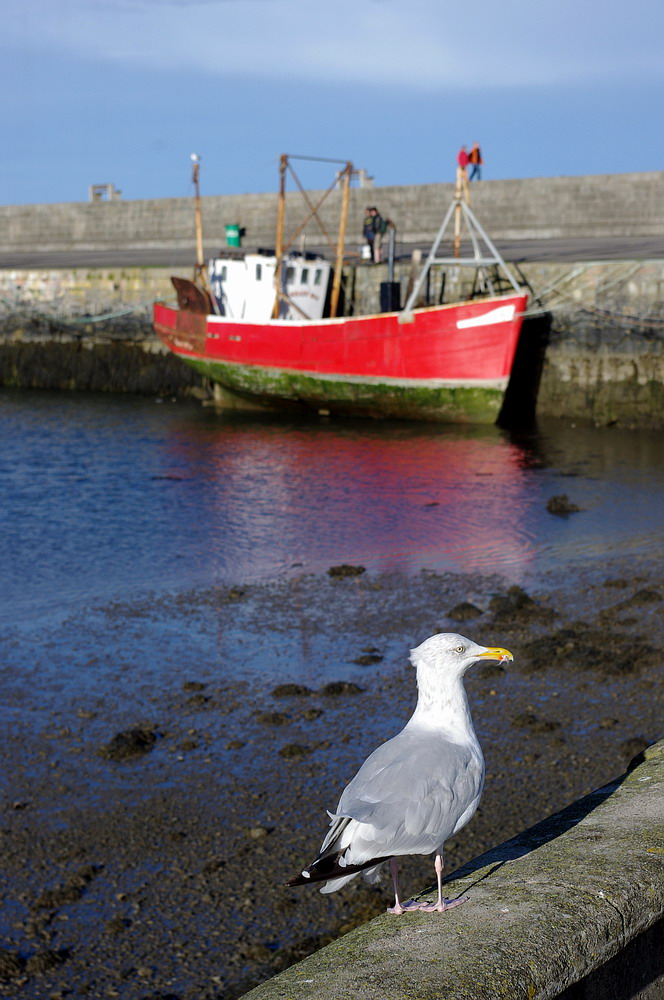 Howth