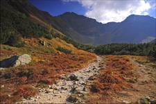 Tatry