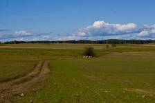 okolice Kolna,okolice Gromadzyna Starego