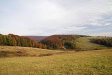 Ożenna (Beskid Niski)