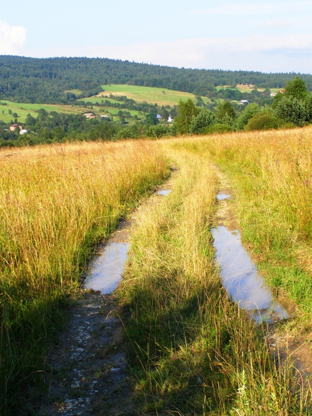 Ku Przysłupowi