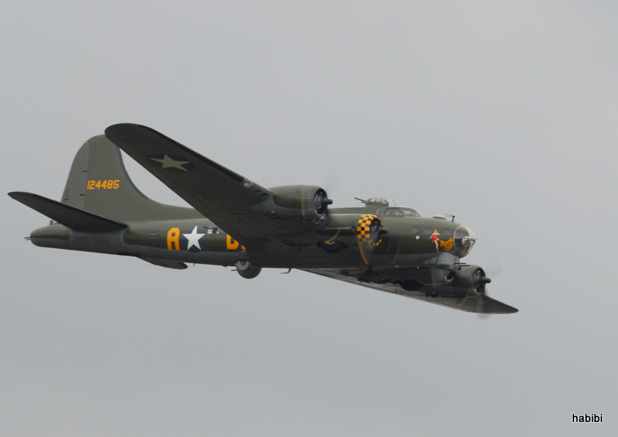 B-17  Sally B