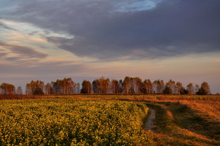 Zakręcona jesień .