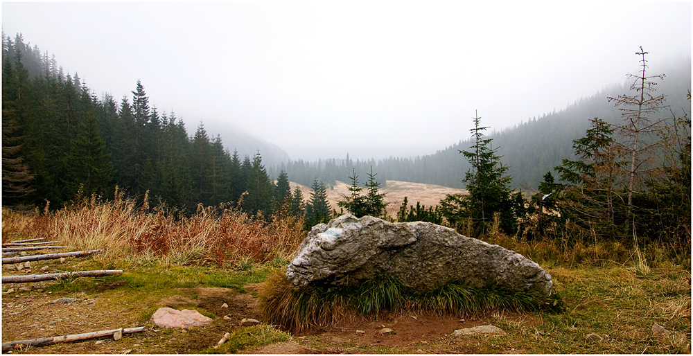 Tatry