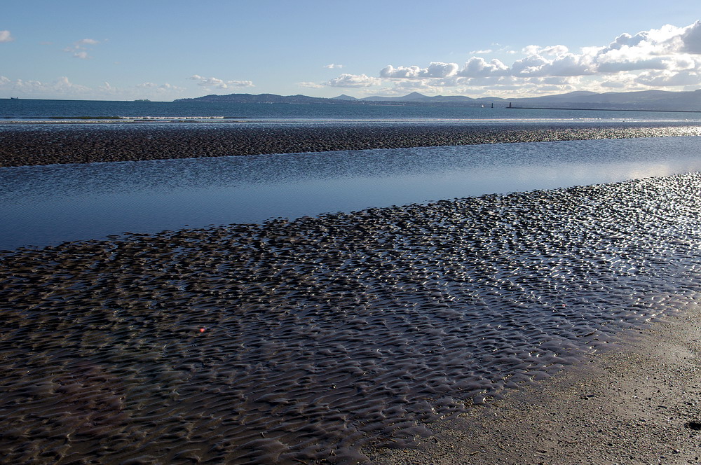 North Bull Island