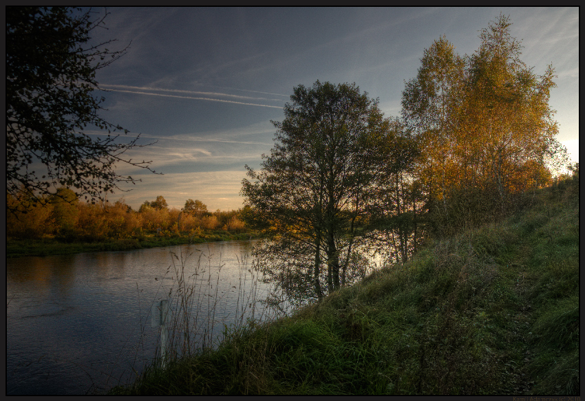 Narew