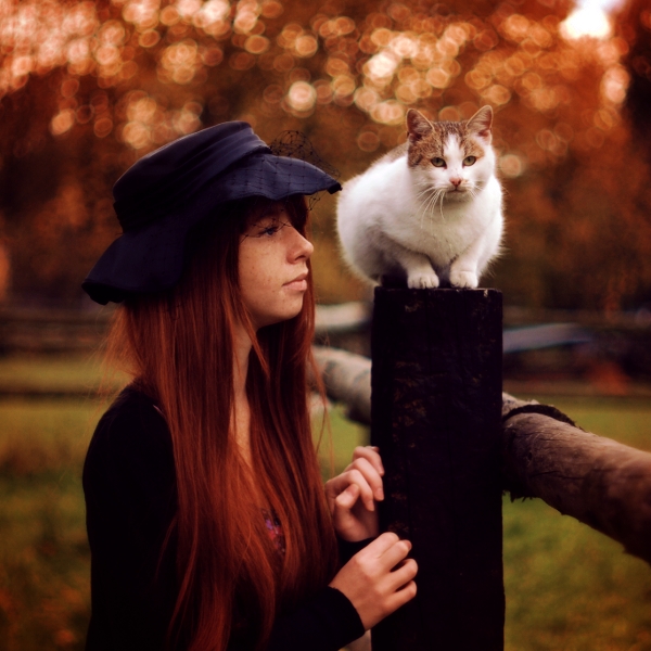 Black widow & white cat