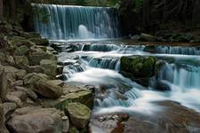 The Wild Waterfall