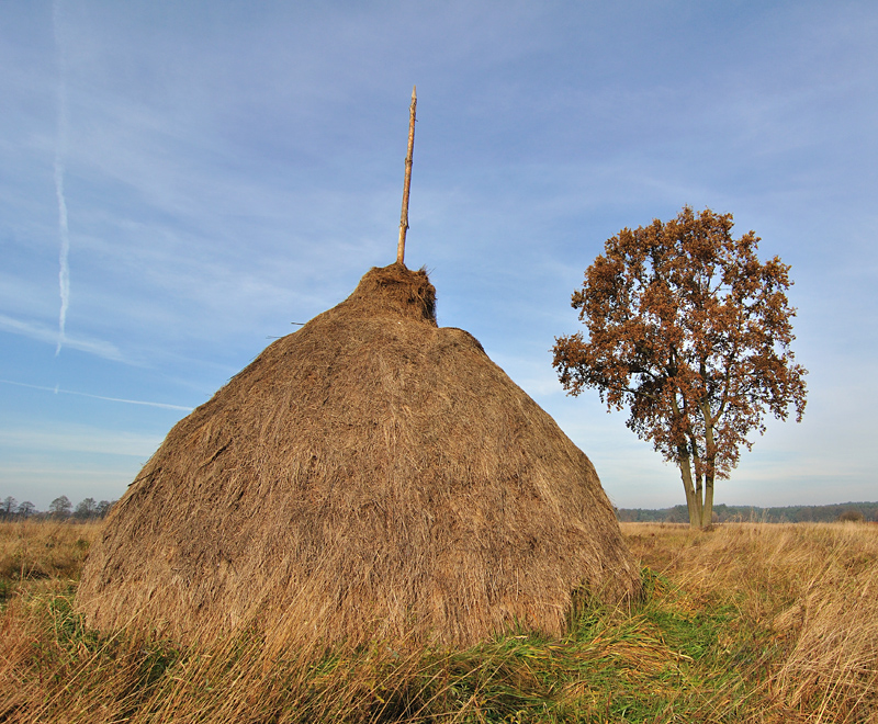 jesień