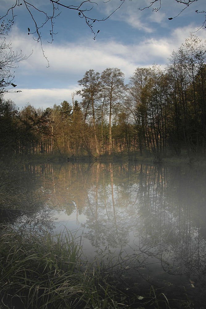 grobla koło Julina o poranku