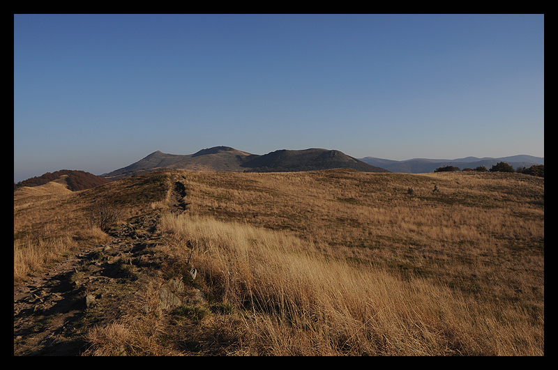 Połonina Wetlińska (Bieszczady)