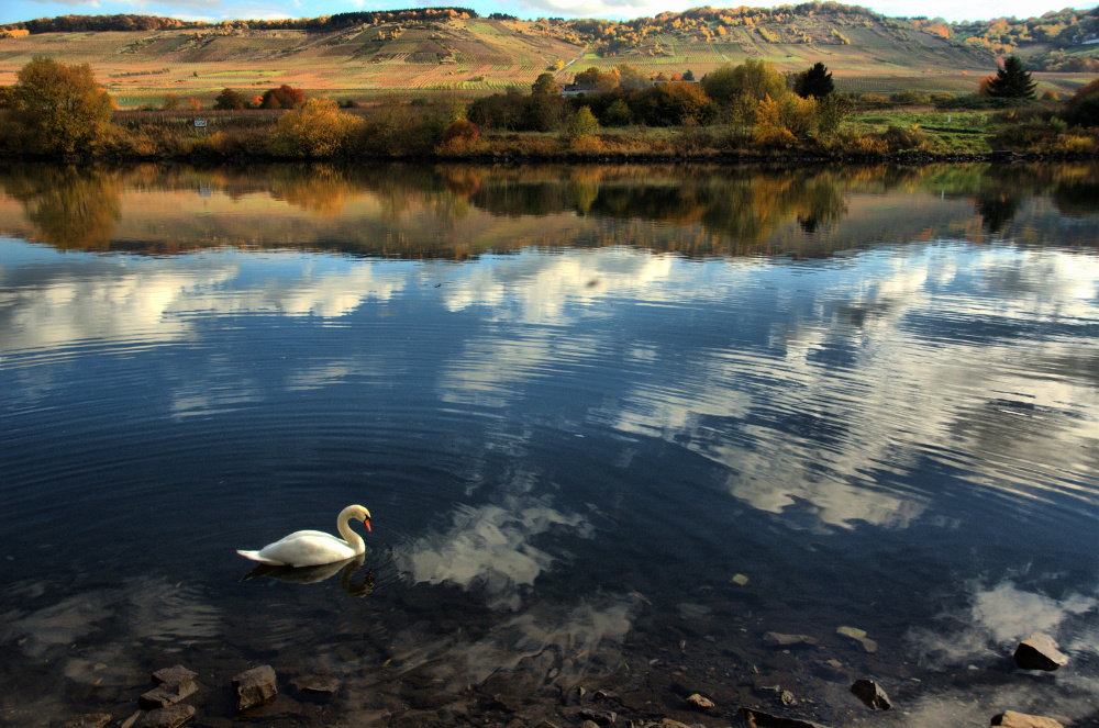 Mosel