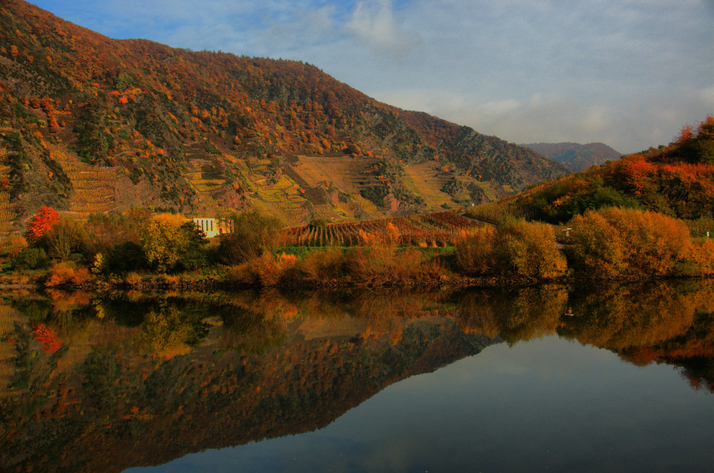 Mosel I