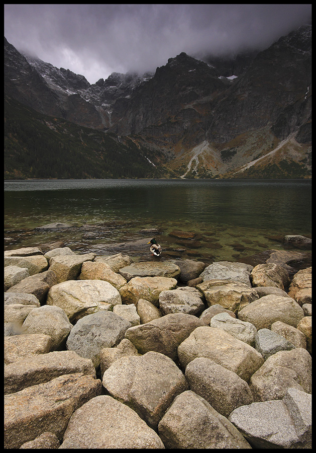 Tatry