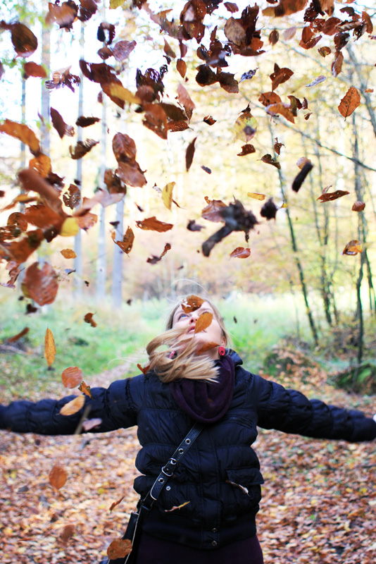 Rain of leaves