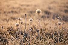 Bieszczady [03]