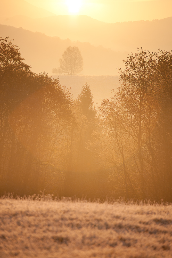 Bieszczady [04]