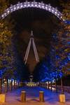 london eye by night