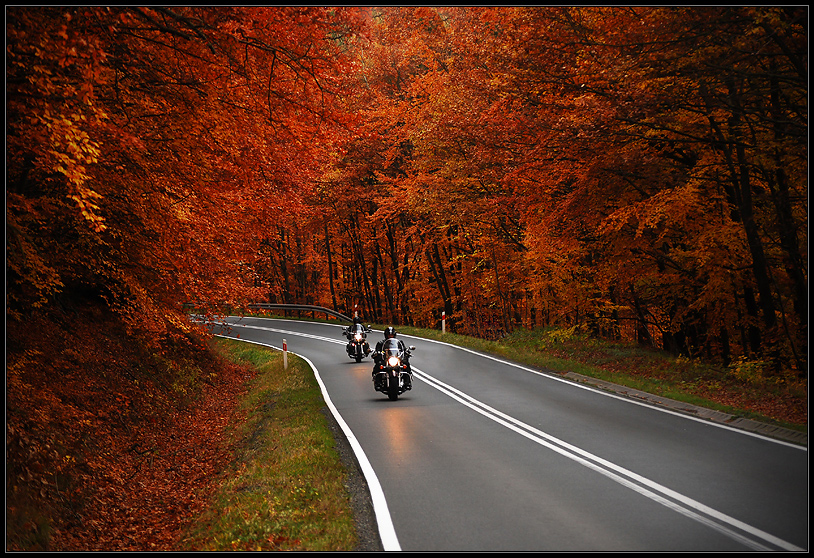 autumn travel